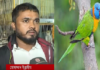 টঙ্গীতে বিরল প্রজাতির পাখির ছানা উদ্ধার! বিরল প্রজাতির পাখির ছানা