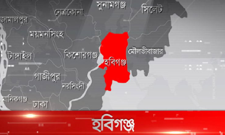 হবিগঞ্জের বাহুবলে সীমানা সংক্রান্ত বিরোধে জোড়া খুন: আহত ১০ সীমানা সংক্রান্ত বিরোধ