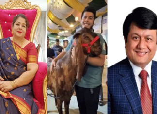 ছাগলকাণ্ডে আলোচিত এনবিআর সদস্য মতিউর স্ত্রীসহ গ্রেফতার  এনবিআর সদস্য মতিউর রহমান