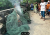 বাগেরহাটে ৩৫টি চায়না দুয়ারী জব্দ ৩৫টি চায়না দুয়ারী জব্দ