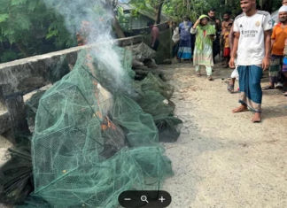 বাগেরহাটে ৩৫টি চায়না দুয়ারী জব্দ ৩৫টি চায়না দুয়ারী জব্দ